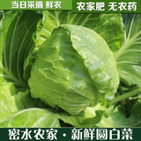 密云自产 当天采摘 卷心菜 绿蔬菜 圆白菜 北京同城配送 满包邮