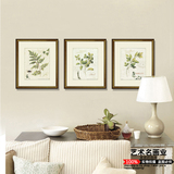 美式装饰画美式乡村客厅卧室现代简约装饰画进口画芯清新花草植物
