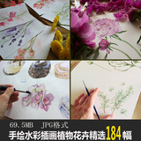 唯美水彩植物花卉插画图片素材高清图库图片素材手绘临摹