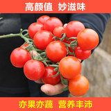 新鲜圣女果 甜味千禧 小番茄 小西红柿水果 亦果亦蔬 500g