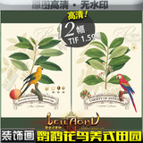 手绘花鸟装饰画芯高清素材欧美绿色植物无框画图片图库鹦鹉ZS058