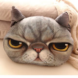 日本卡通逼真3D立体喵星人猫咪抱枕居家 猫头靠垫可拆洗 生日礼物