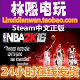 STEAM PC正版 NBA 2K16 美国篮球 2016 中文版 全球联网 乔丹版