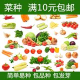 蔬菜种子四季套餐包邮批发阳台食用小白菜香菜萝卜辣椒草莓黄秋葵