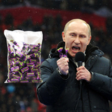俄罗斯糖巧克力糖果进口kpokaht紫皮糖婚庆喜糖零食大礼包原包装
