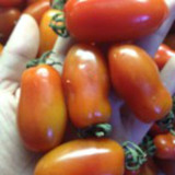 丹东特产409小西红柿圣女果新鲜水果无公害草莓地热卖批发满包邮
