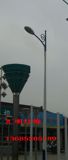 6米7米8米9米路灯单头道路灯广场灯花园灯公园灯路灯杆子户外照明