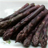 【紫色芦笋种子】 进口紫芦笋种子 养生保健 抗衰老降血压