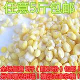 新货农家粘玉米渣 糯玉米渣 粘玉米 粗粮 东北玉米250g
