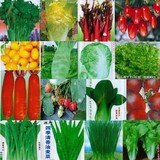疯抢送肥料新手阳台春播蔬菜种子20种套餐