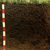 特价园艺专用普通园土培养土可混合营养土种植田园土栽花土种菜土