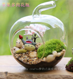 创意玻璃花瓶微景观玻璃瓶生态瓶玻璃花器小花瓶桌面 玻璃球 空心