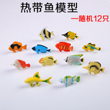 【天天特价】仿真海洋热带鱼模型儿童认知小号鱼玩具海底动物摆件