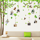 包邮！林间记忆相片贴 卧室客厅沙发电视墙大面积绿色照片树墙贴