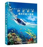 正版  BBC纪录片 海洋天堂大堡礁 1080P蓝光dvd纪录片影碟片