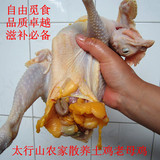 太行山农家土鸡散养鸡2年老母鸡草鸡笨鸡孕产妇宝宝首选健康补品