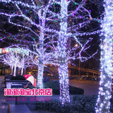圣诞树彩灯 20米LED串灯 圣诞节春节装饰用品（红黄白蓝彩色）