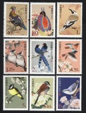 【集邮宝贝】普31R31中国鸟 普通邮票全套9枚 拍4套给方连 最低价