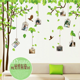 超大许愿树相框照片墙贴画奶茶店装饰墙壁纸走廊吊顶客厅沙发贴纸