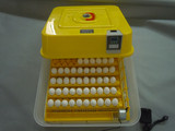 家用全自动鸽子孵化机/鸡蛋孵化器/42枚土鸡野鸡山鸡孵卵机/鸽蛋