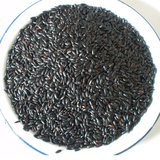 农家黑米有机杂粮黑大米补血益气黑香米无染色非转基因新黑米