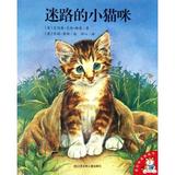 迷路的小猫咪/爱的味道图画书 (英)艾利森·艾伦·格雷|译者:妙心|绘画:(英)乔妮·莫斯 正版书籍 少儿