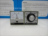 指示式 温度指示调节仪 温度控制器 温控仪 TDA-8001H 横 120*60