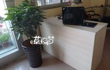 【宁夏花心】银川居家办公室内花卉盆栽平安树/元宝树吸甲醛植物