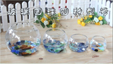 透明圆形玻璃鱼缸/水培绿萝玻璃大花瓶/富贵竹水族工艺品摆件 ！