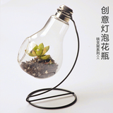 欧式创意灯泡环保花瓶 透明玻璃水培花瓶绿植花器铁支架装饰摆件