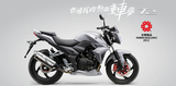 特价SYM三阳机车T2 250摩托车台湾新款原装进口水冷电喷4V引擎