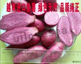紫薯 新鲜 越南紫薯 小号1斤7-10个 江浙沪皖5斤 紫山芋非转基因