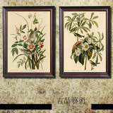 美式乡村田园装饰画复古实木框客厅卧室壁画挂画欧式花卉植物花鸟