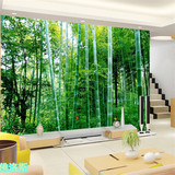 大型壁画墙纸壁纸客厅沙发卧室电视背景墙3D立体高清室外竹林