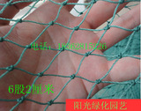 护栏网养野鸡网小鸡网围栏养殖网防护网渔网抗老化网子围网