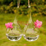 透明玻璃花瓶悬挂式 创意水滴型吊球花瓶 插花工艺品欧式家居装饰