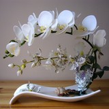 假花客厅摆设餐桌花娟花冰箱上的摆件塑胶花室内装饰花卉仿真花束