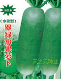 【翠绿水果萝卜种子】㊣品 皮肉翠绿色 绿瓤 甜脆生食 沙窝全国种