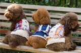 包邮日本它它touchdog宠物裙子服装小狗狗衣服泰迪比熊春夏装用品