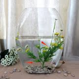 异性创意鱼缸玻璃扁口鱼缸金鱼缸玄关摆件花器水培玻璃花瓶包邮
