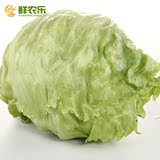 【鲜农乐】农家圆生菜2.3斤/份西生菜 球生菜 水果沙拉 新鲜蔬菜