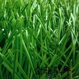 广州足球场专用草坪/毯楼顶阳台仿真草坪人造草坪塑料人工假草皮