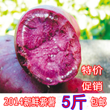 新鲜紫地瓜鲜紫薯小紫薯紫红薯紫番薯香薯紫山芋鲜地瓜1斤包邮