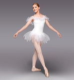 欧美新款 女成人专业芭蕾舞练功服 舞蹈裙 舞台表演服装演出服