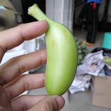 【不打催熟剂】海南三亚新鲜水果 皇帝香蕉 小米蕉 拇指蕉  5斤装