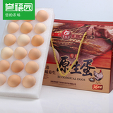 【誉福园】橘园散养原生蛋36枚礼盒装 农家土鸡蛋 草鸡蛋