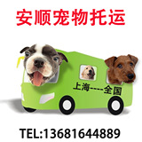 上海活体宠物猫咪宠物狗狗汽车航空运托运办理 手续全包当天发到