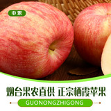 烟台苹果正宗栖霞红富士脆甜新鲜水果苹果80富士5斤山东特产