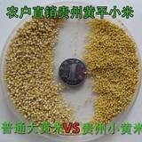 贵州谷陇优质小米农家种的粗粮月子米宝宝辅食五谷杂粮小米粮食
