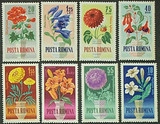 罗马尼亚1964：烟草花、菊花、百合、天竺葵、倒挂金钟等花卉 8全